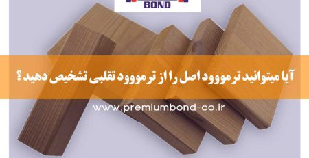 ترمووود اصل