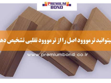 ترمووود اصل