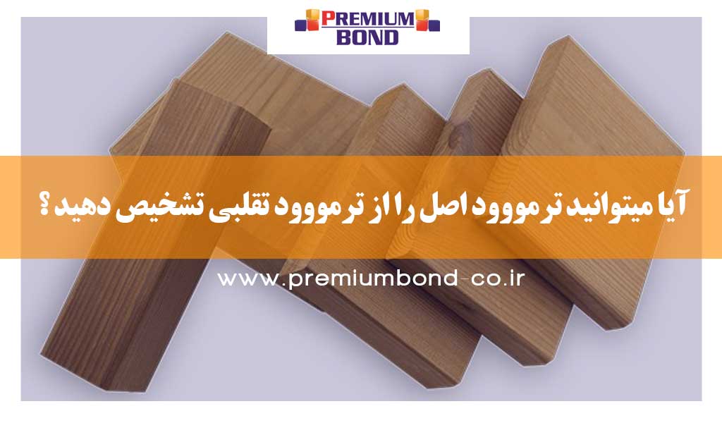 ترمووود اصل