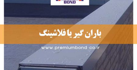 باران گیر یا فلاشینگ