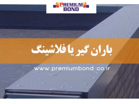 باران گیر یا فلاشینگ