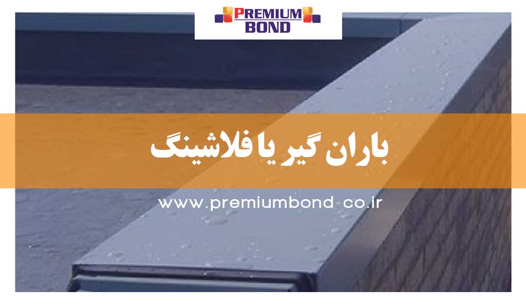 باران گیر یا فلاشینگ