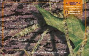 ورق کامپوزیت طرح چهار فصل